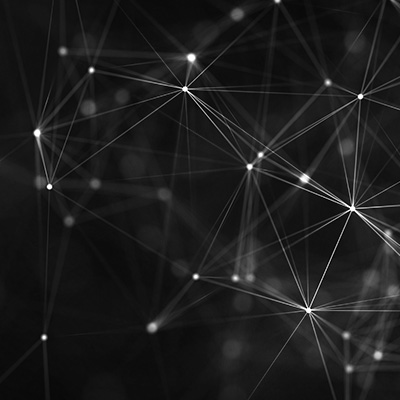 Partner von Schmid & Co Visualisierung eines Partner-Netzwerks